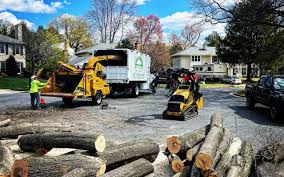 Leaf Removal in Merrick, NY