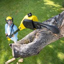 Best Aeration Services  in Merrick, NY