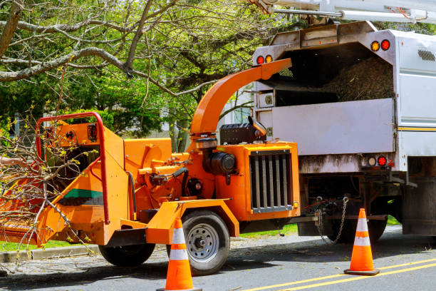 Best Utility Line Clearance  in Merrick, NY