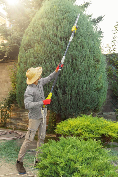 Best Hedge Trimming  in Merrick, NY